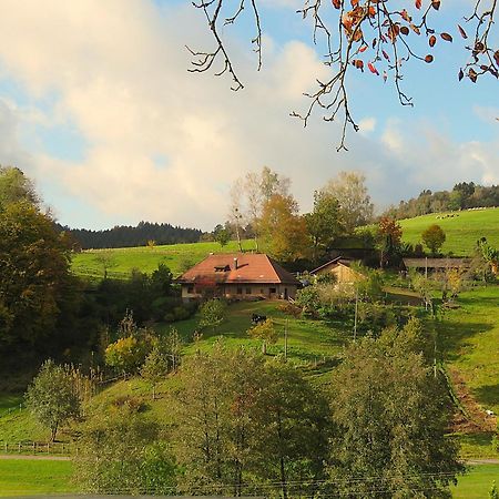 Hernis-Hoefle Elzach Esterno foto