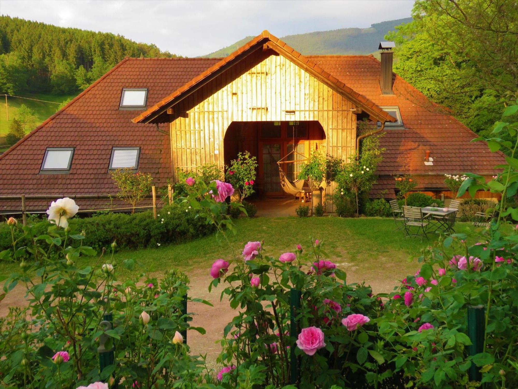 Hernis-Hoefle Elzach Esterno foto