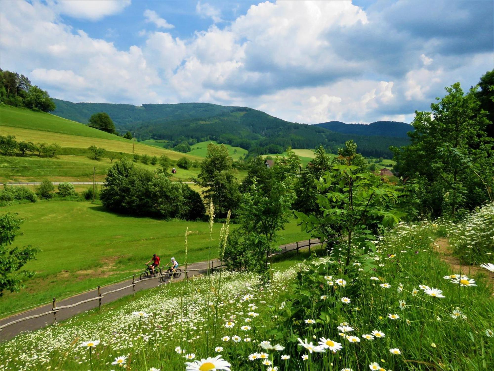 Hernis-Hoefle Elzach Esterno foto