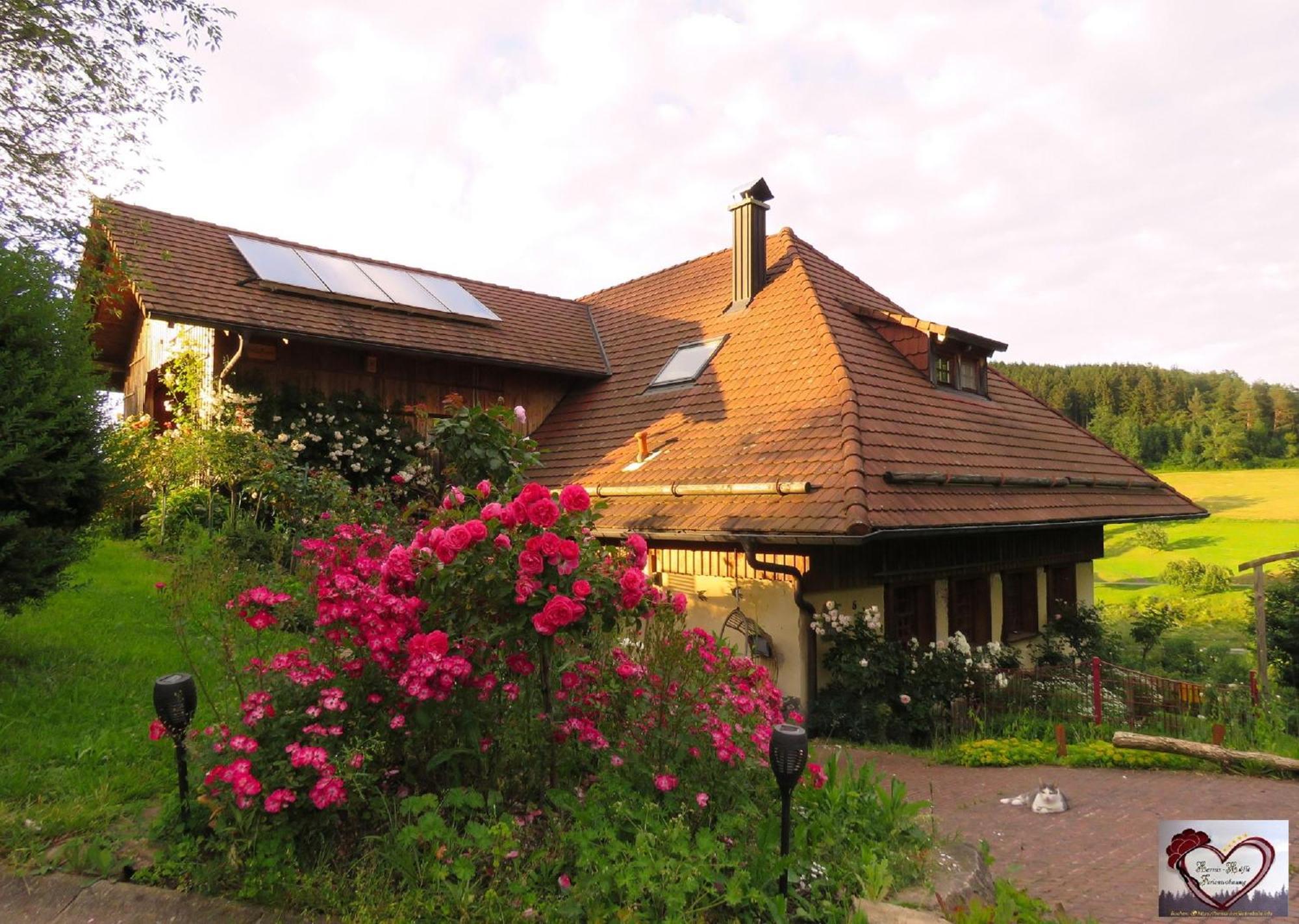 Hernis-Hoefle Elzach Esterno foto