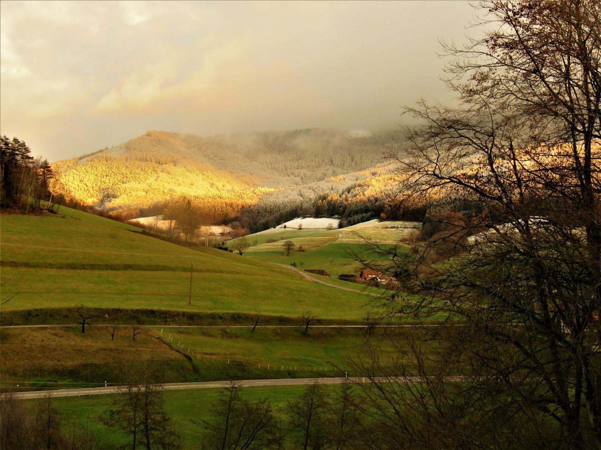 Hernis-Hoefle Elzach Esterno foto