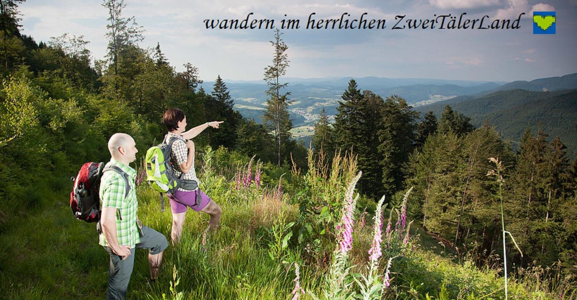 Hernis-Hoefle Elzach Esterno foto
