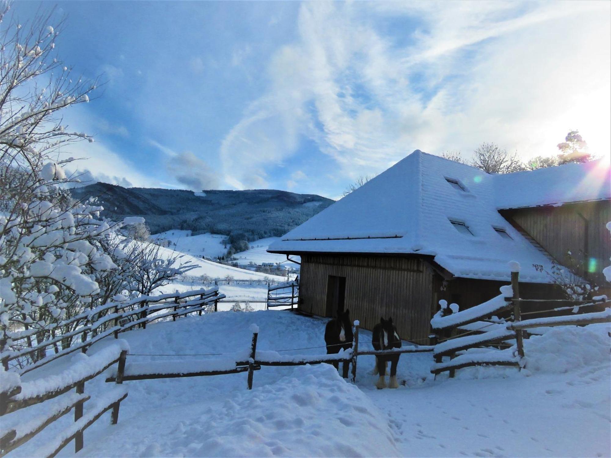 Hernis-Hoefle Elzach Esterno foto